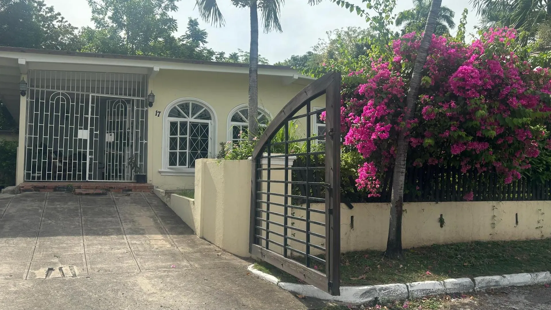 Di Mews Hotel Kingston Jamaica